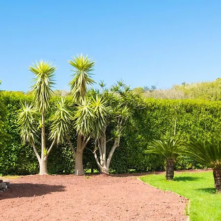 アパート Quinta Do Torcaz *