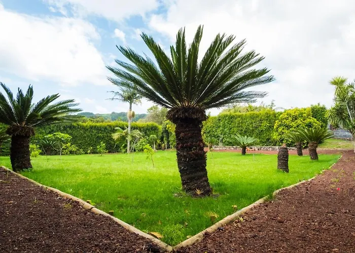 Lejlighed Quinta Do Torcaz Horta (Azores)