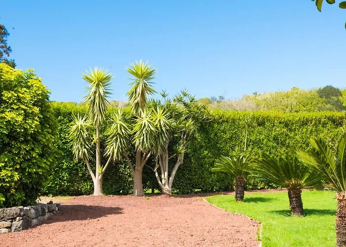 Lejlighed Quinta Do Torcaz *