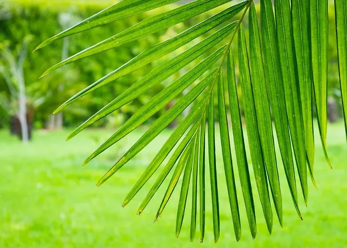 Quinta Do Torcaz Apartamento