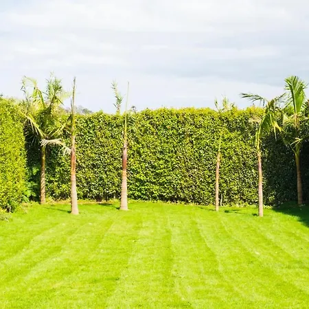 Quinta Do Torcaz Lägenhet Horta (Azores)