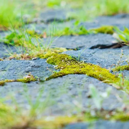 Quinta Do Torcaz 奥尔塔