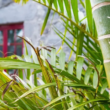 Quinta Do Torcaz 公寓