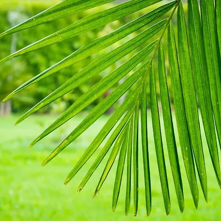 Quinta Do Torcaz 公寓