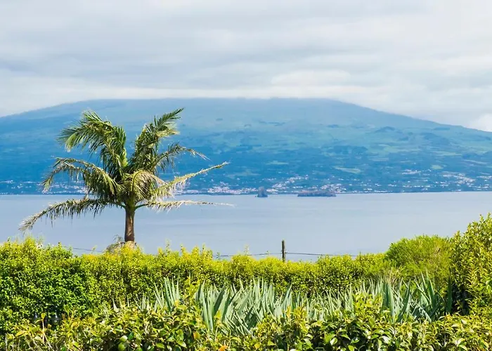 Apartment Quinta Do Torcaz *