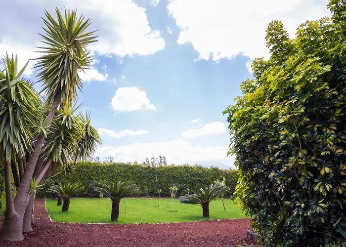 アパート Quinta Do Torcaz *