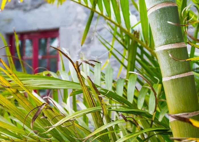 Quinta Do Torcaz Apartman